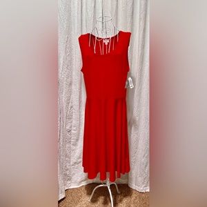 LulaRoe Nicki Dress